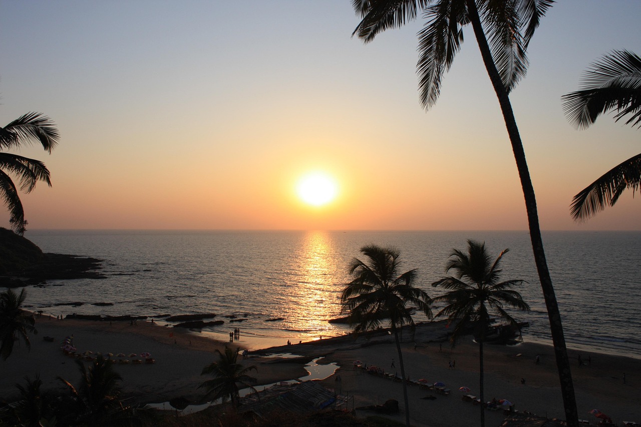 goa, india, nature, beach, sunset
