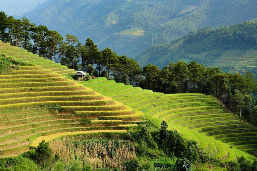 vietnam, nature, terraces, travel, landscape, asia, vietnam, vietnam, vietnam, vietnam, vietnam, landscape, landscape, landscape, asia, asia